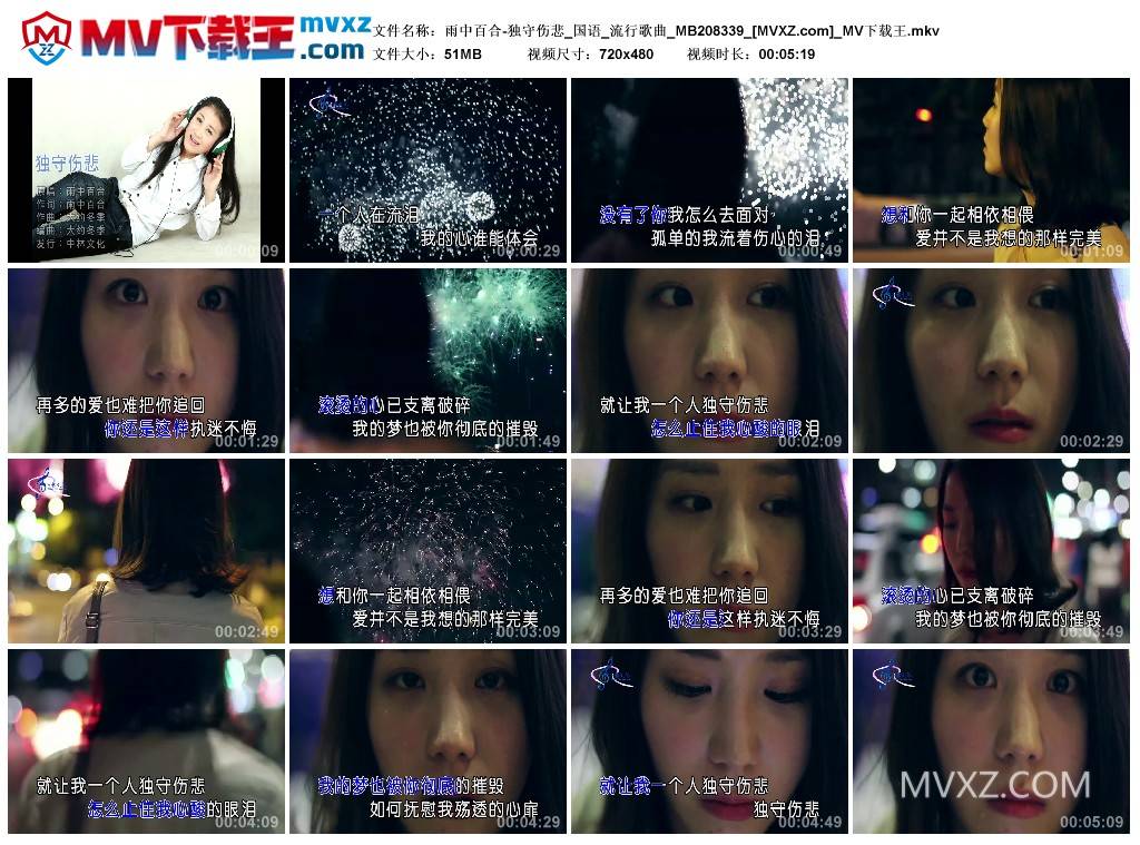 雨中百合-独守伤悲_国语_流行歌曲_MB208339